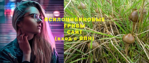 таблы Белокуриха